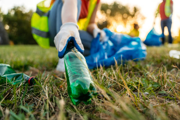 Yard Cleanup Services in Corning, CA